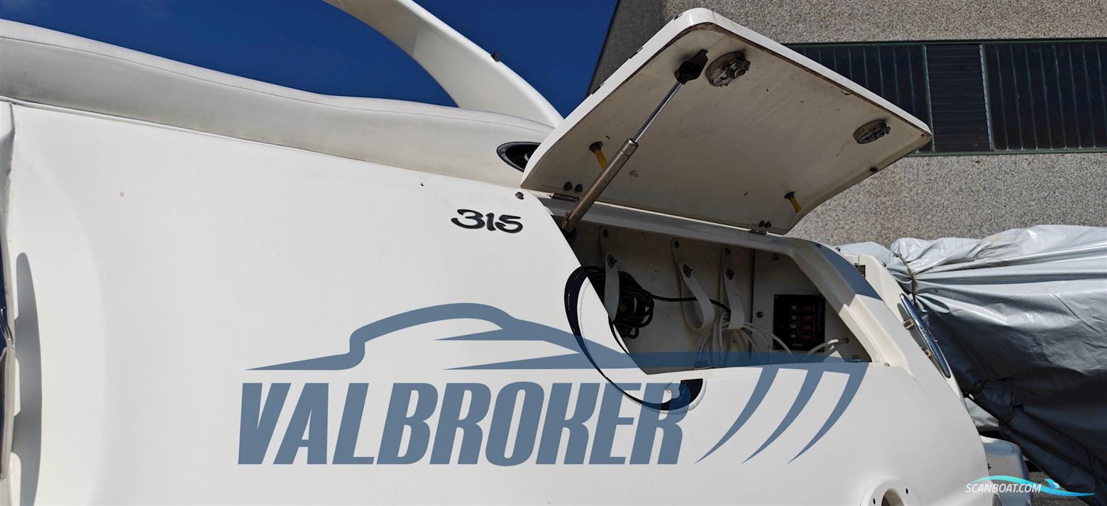 Sea Ray 315 Sundancer
