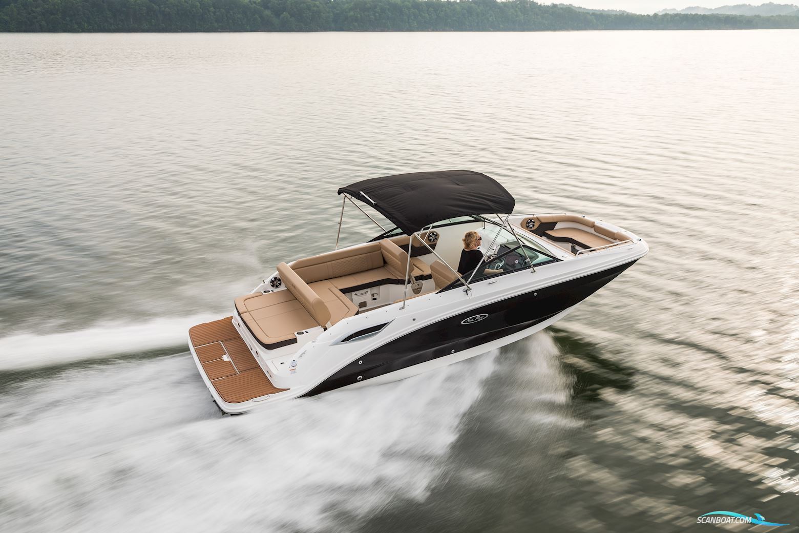 Sea Ray Sdx 250 - IN Store