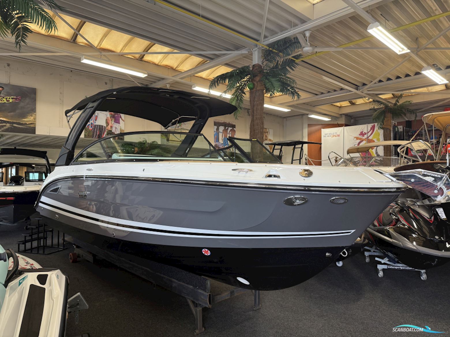 Sea Ray SDX 250 outboard Motorboot 2026, mit Mercury motor, Niederlande