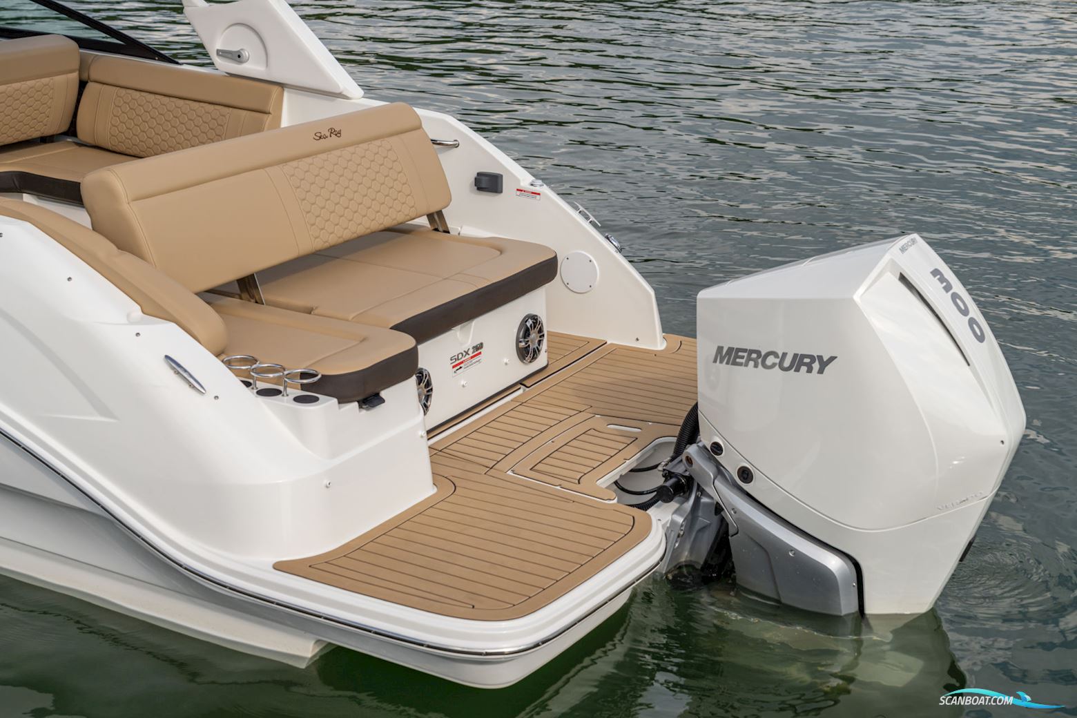 Sea Ray SDX 250