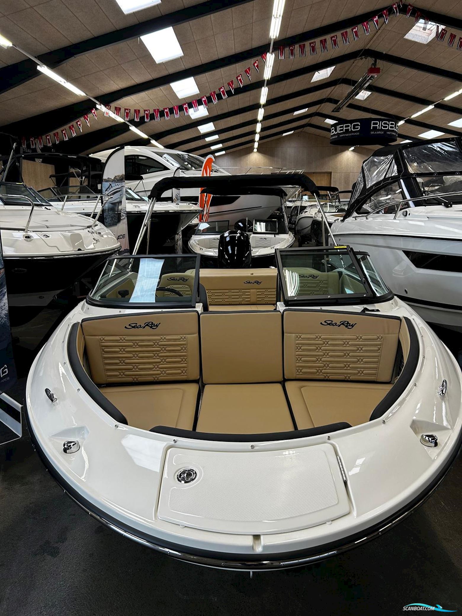 Sea Ray Spx 190 Outboard