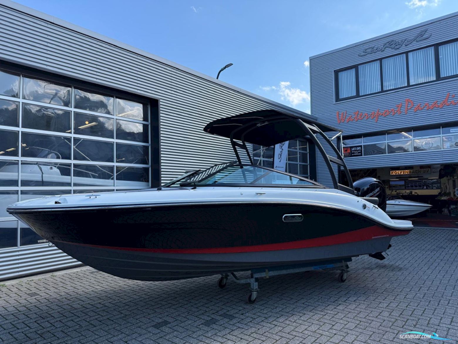 Sea Ray SPX 190 Outboard