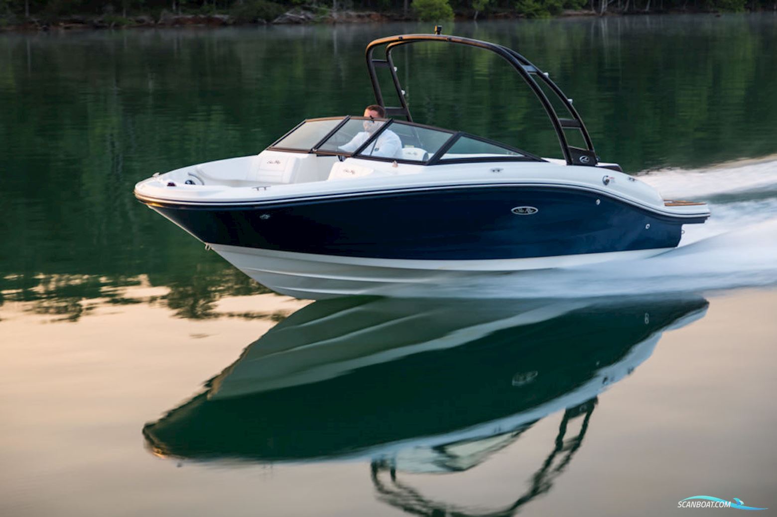 Sea Ray SPX 190
