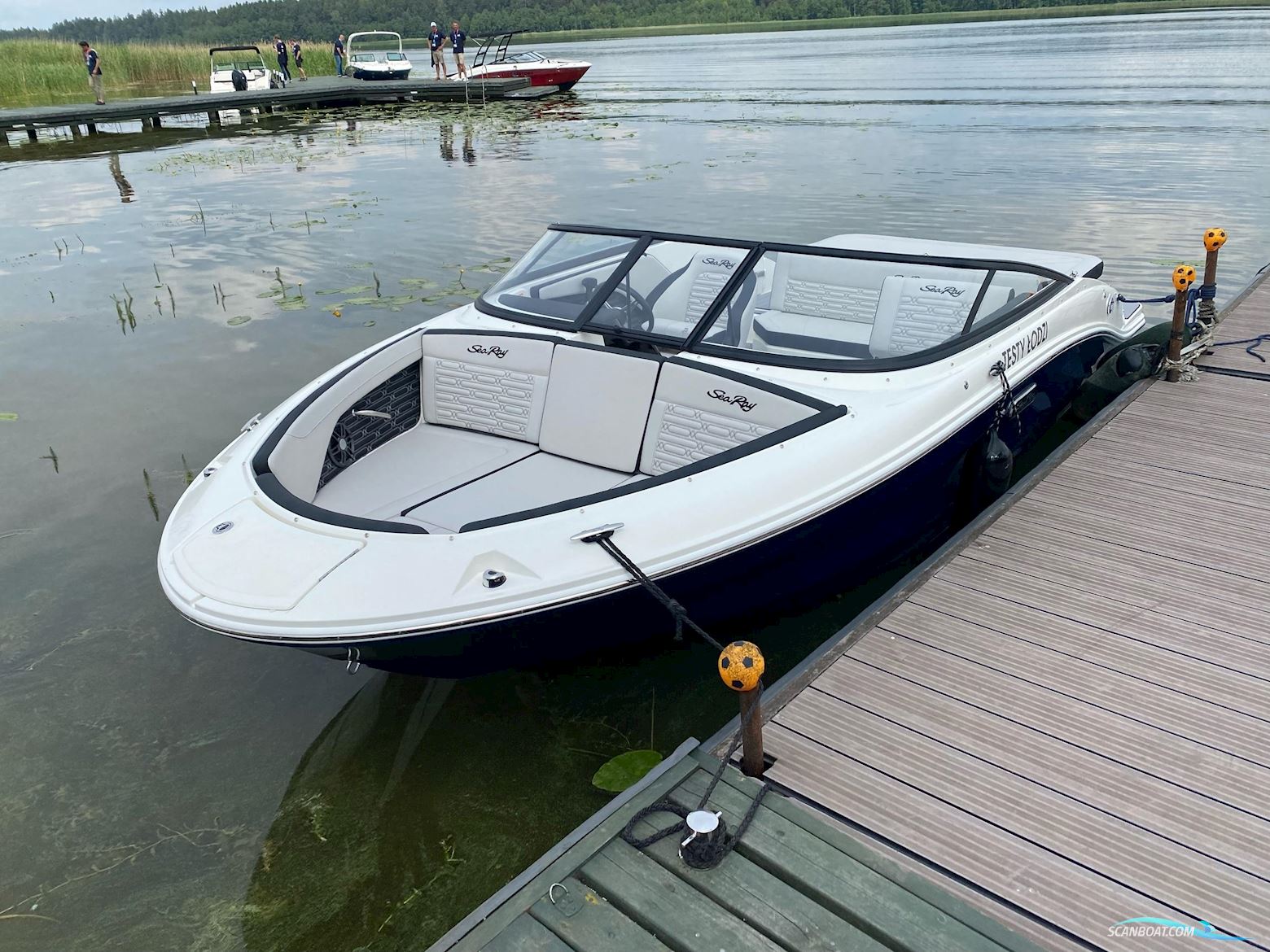 Sea Ray Spx 190 Motorboot 2024, Niederlande