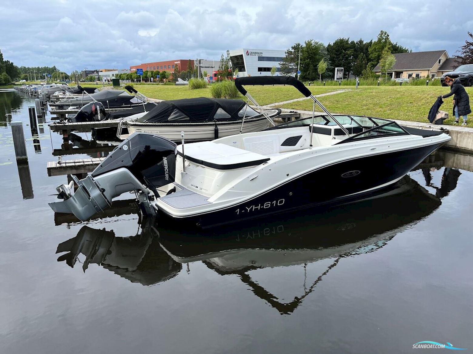 Sea Ray SPX 230 Outboard