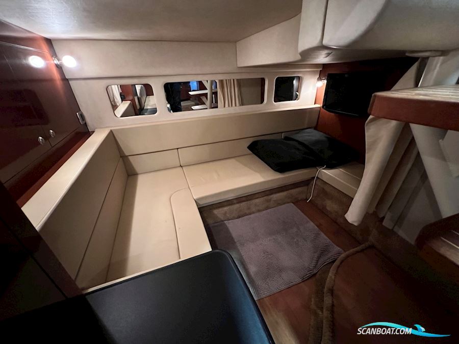 Sea Ray Sundancer 310