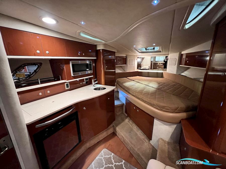Sea Ray Sundancer 310