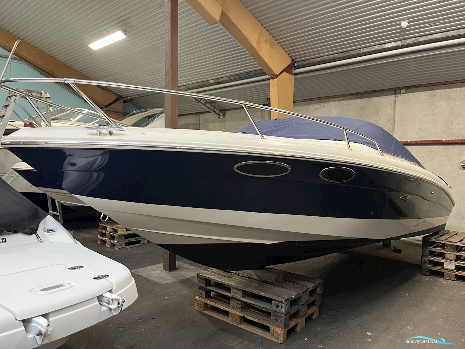 Sea Ray SunSport 230 Motorboot 2001, mit MerCruiser motor, Dänemark