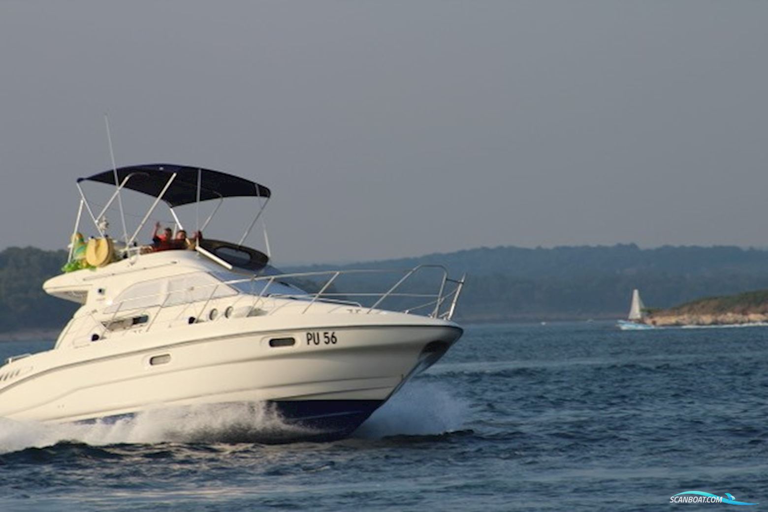 Sealine F33