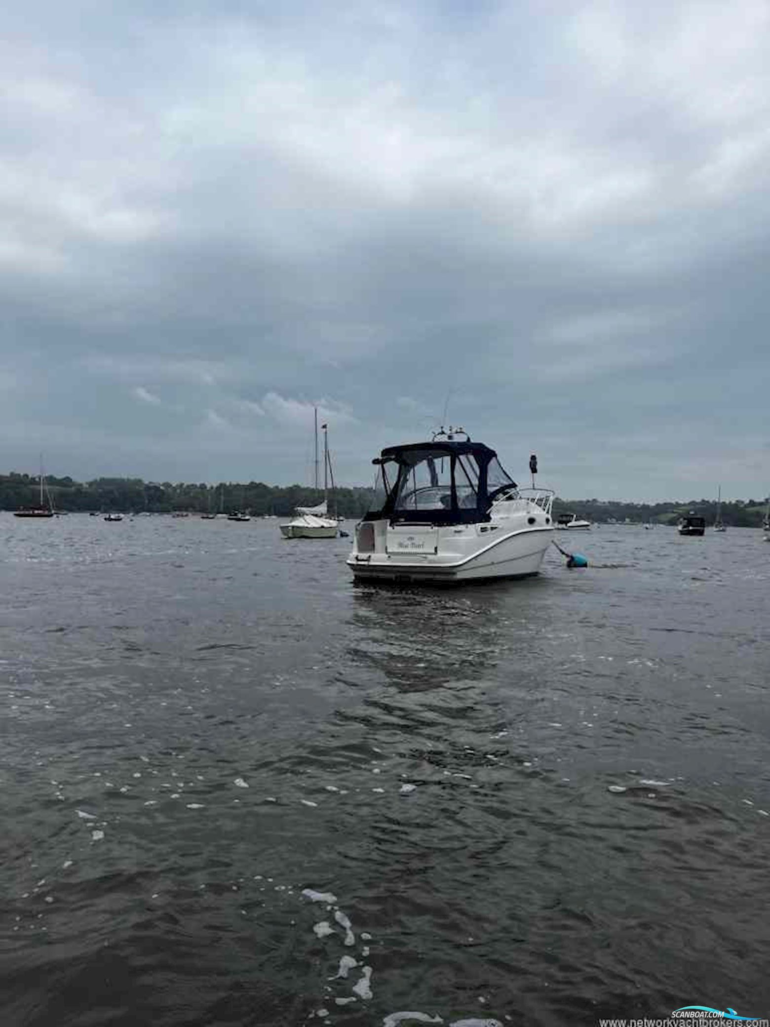 Sealine International S23 Sports Cruiser