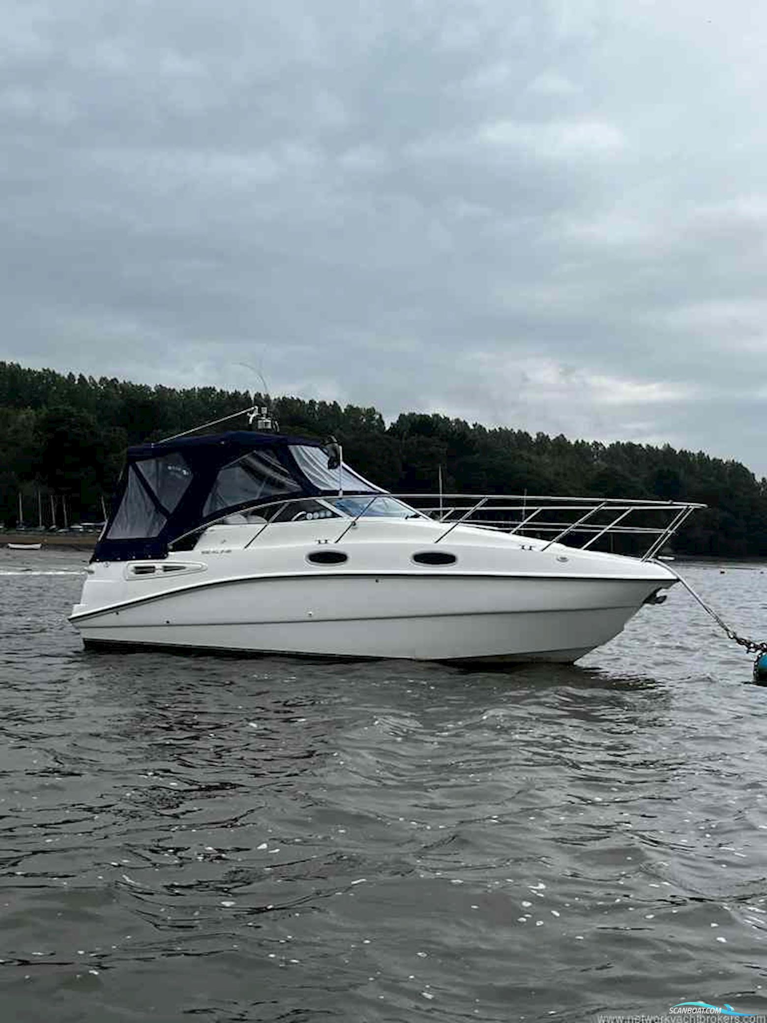 Sealine International S23 Sports Cruiser