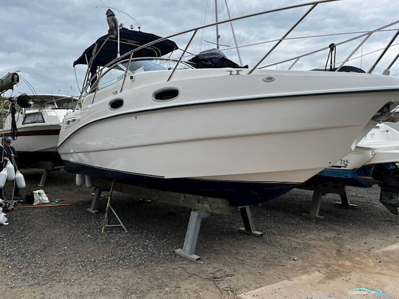 Sealine International S23 Sports Cruiser