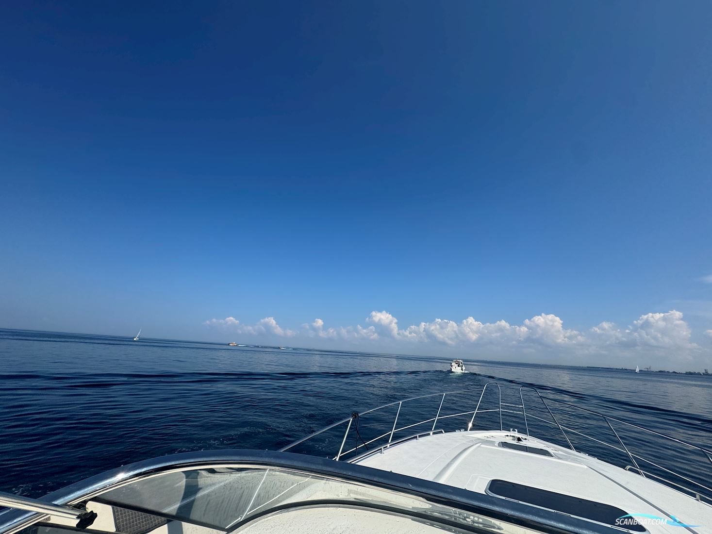 SEALINE S37