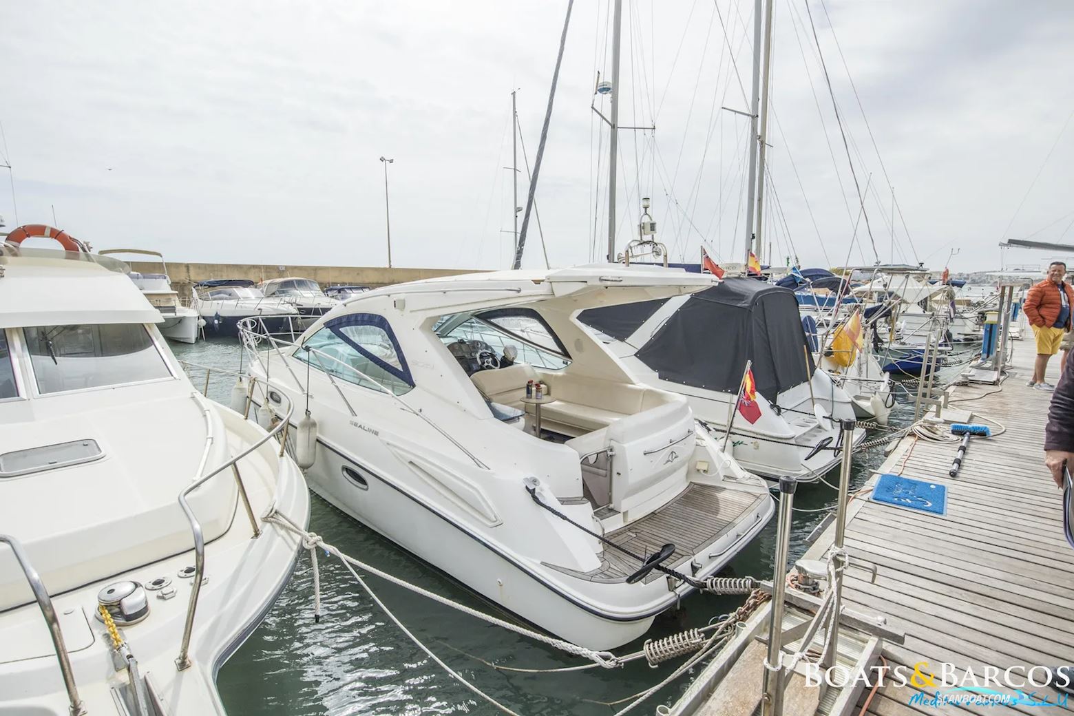 Sealine SC29