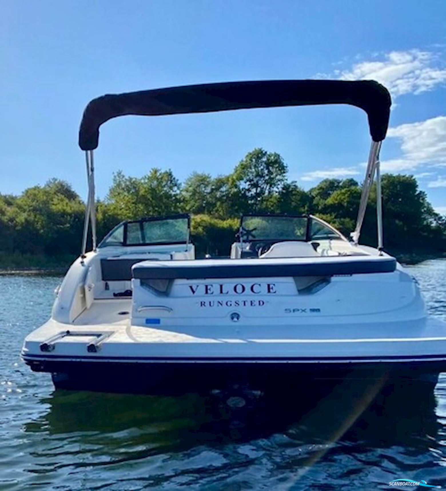 Searay 190 spx Motorboot 2019, mit MerCruiser motor, Dänemark