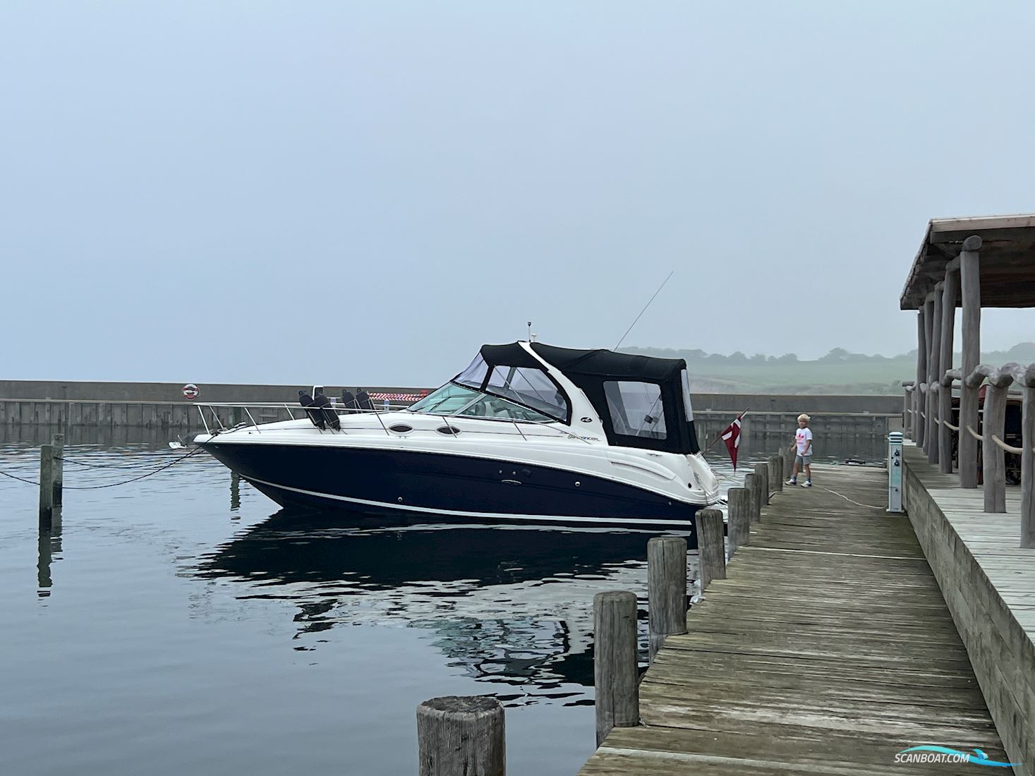 SeaRay 330