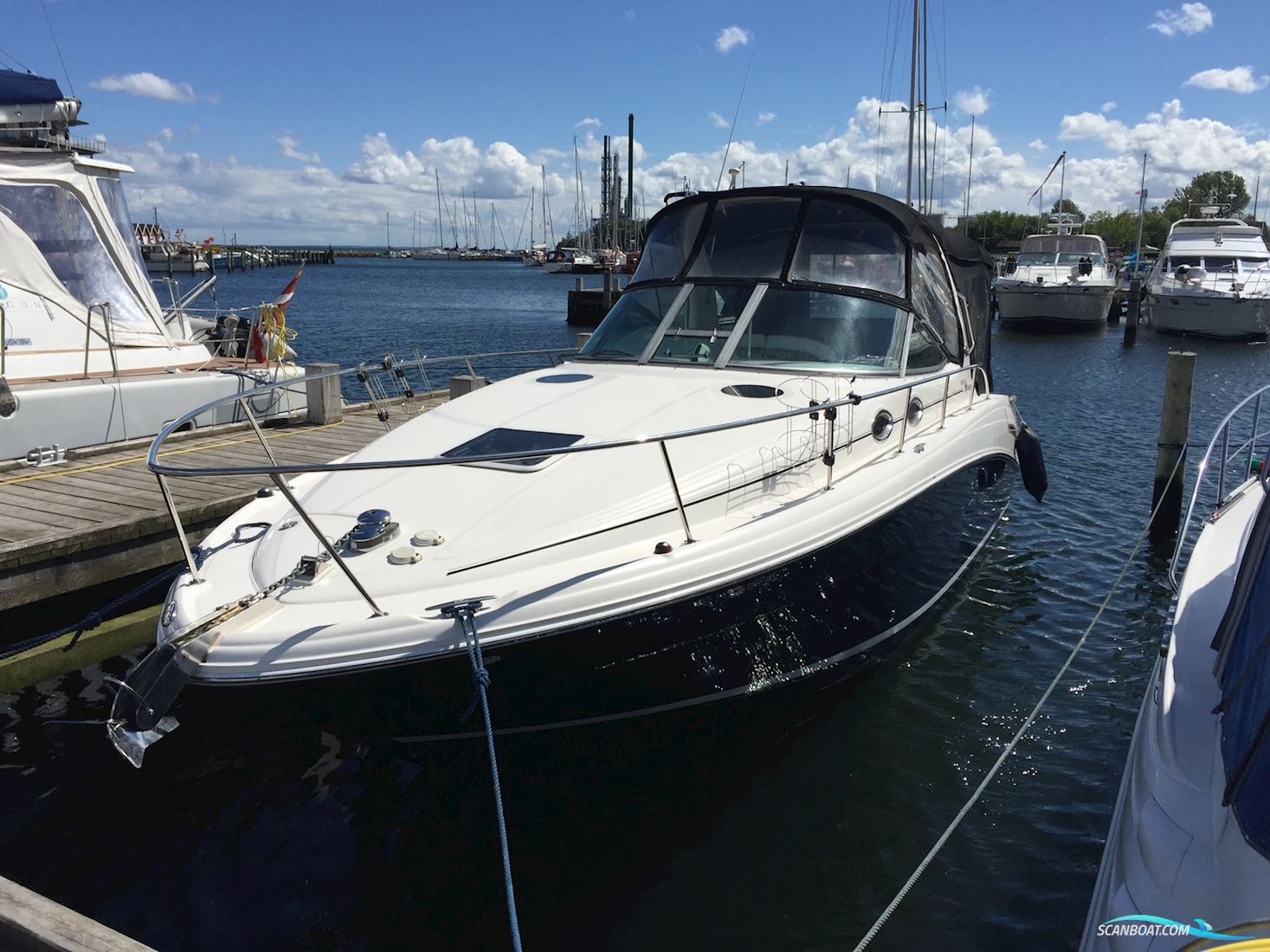 SeaRay 330