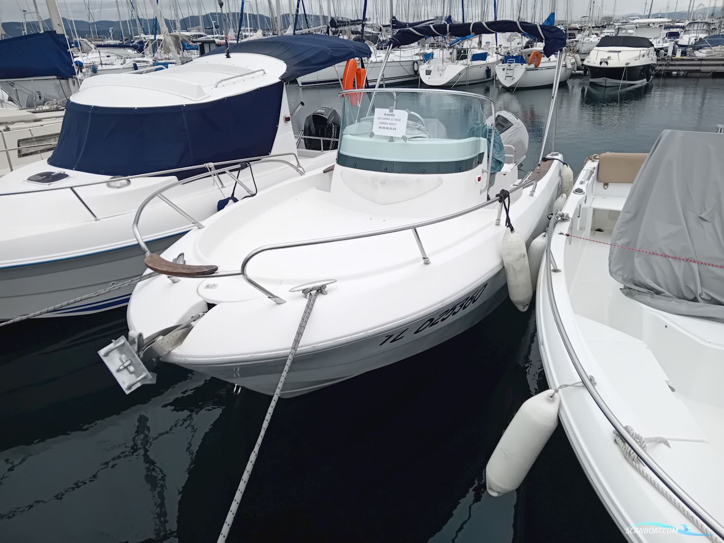 Sessa Key Largo 22 Deck