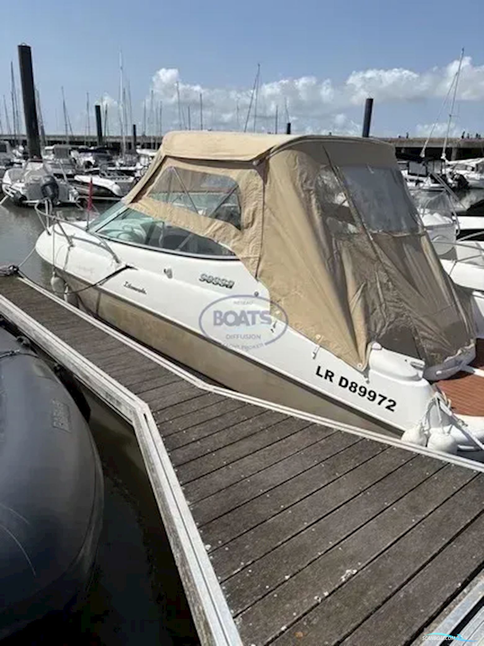 Sessa Marine ISLAMORADA 23