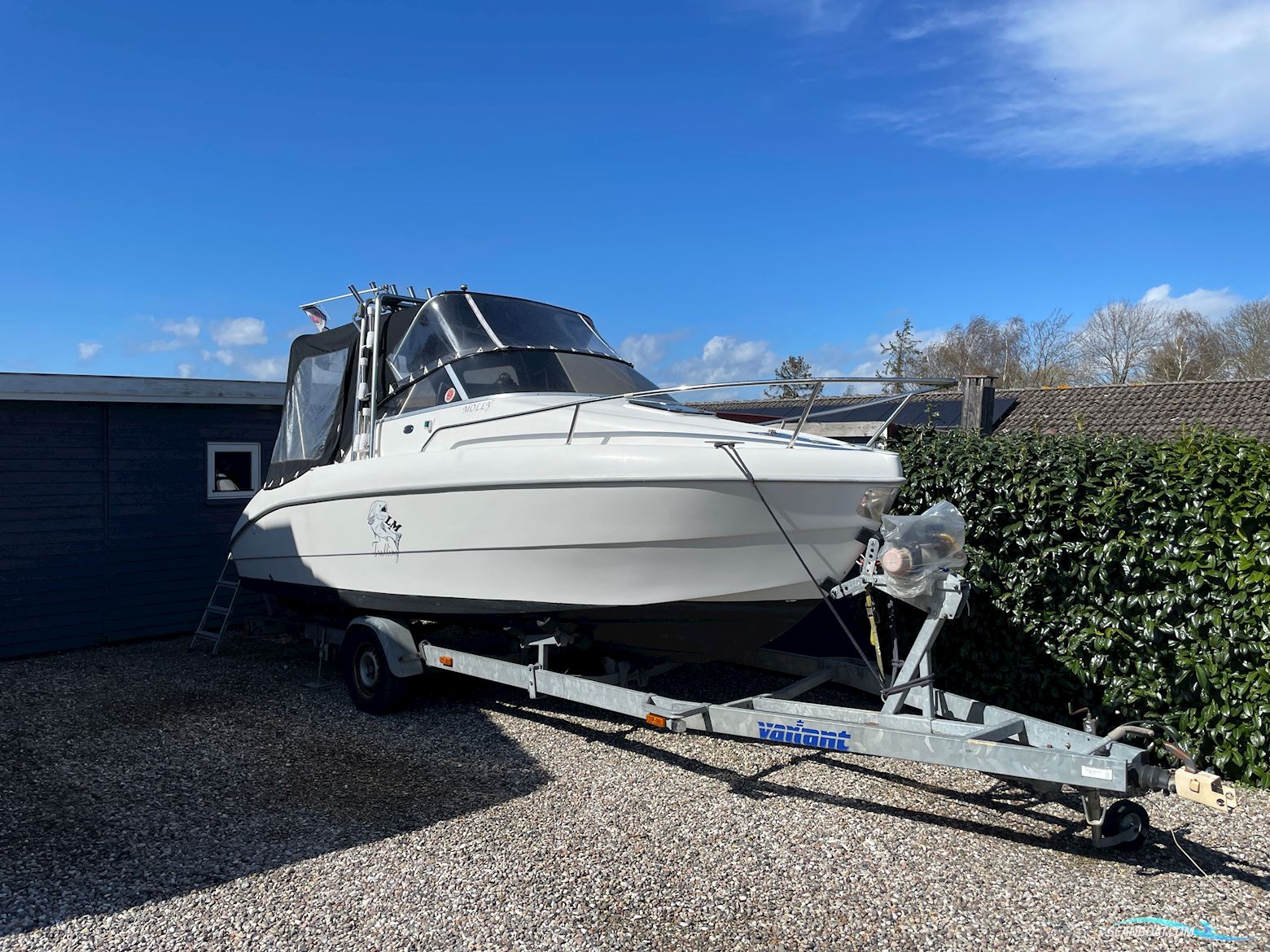 Sessa Oyster 20 Motorboot 1996, mit Suzuki 115 HK DF115 - 4takt motor, Dänemark