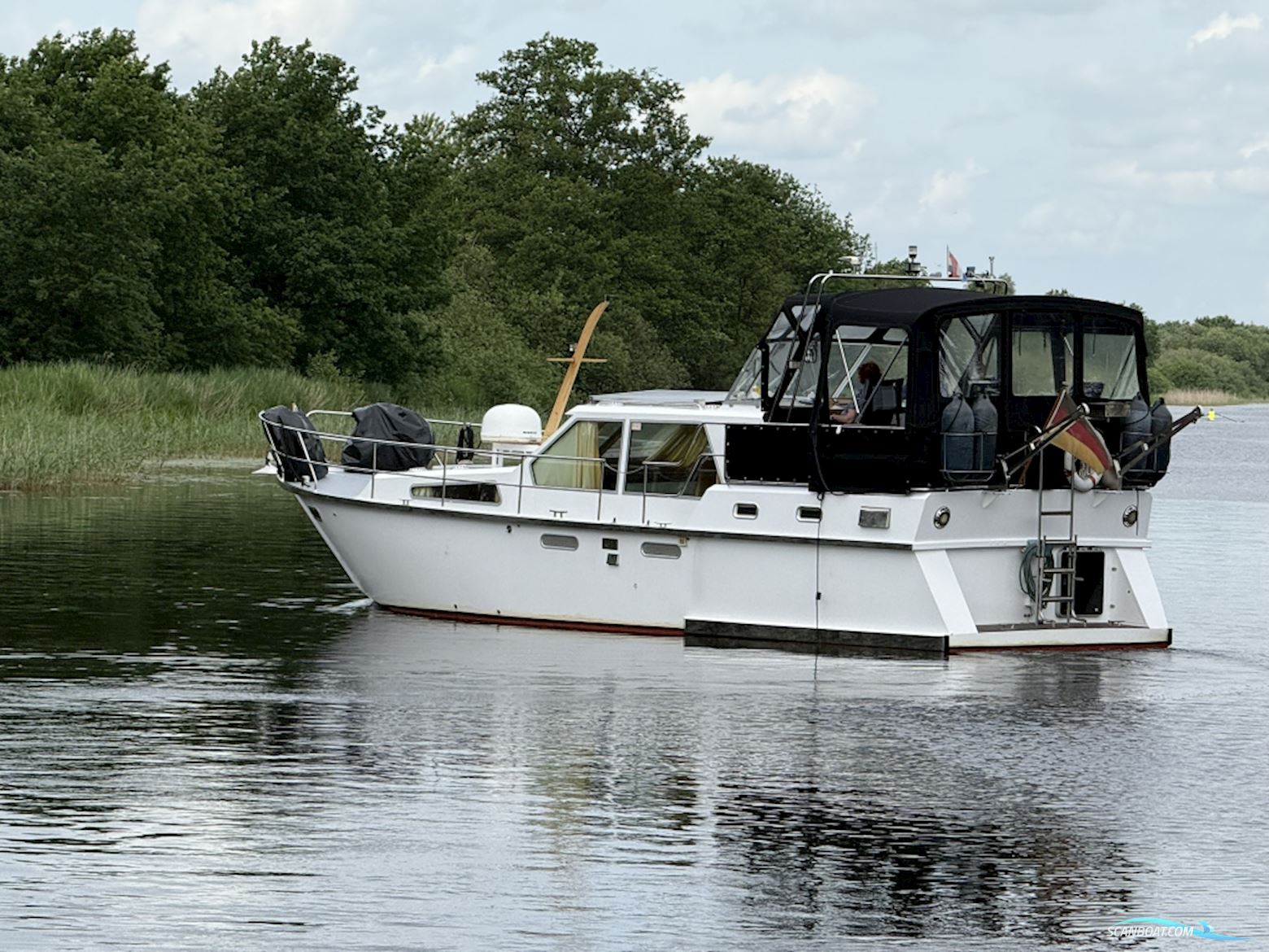 Shogun 38