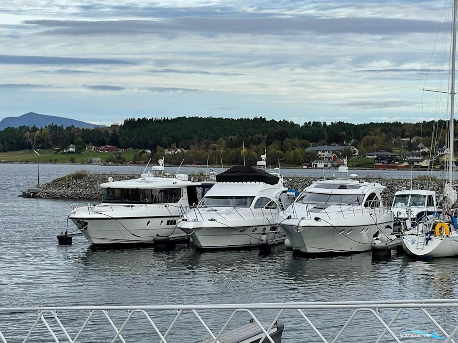 Skorgenes Bahama 42