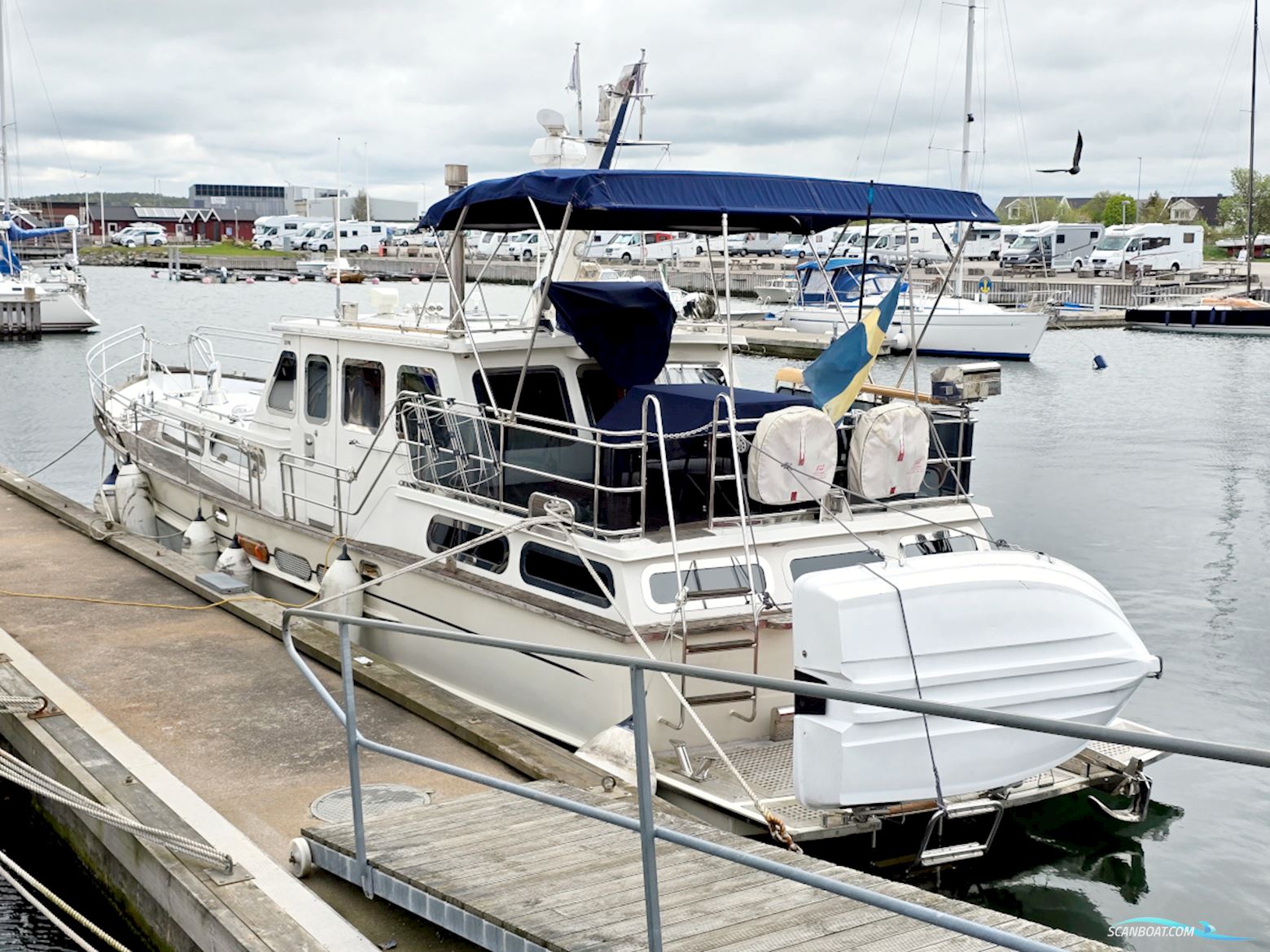 Spinosa 43