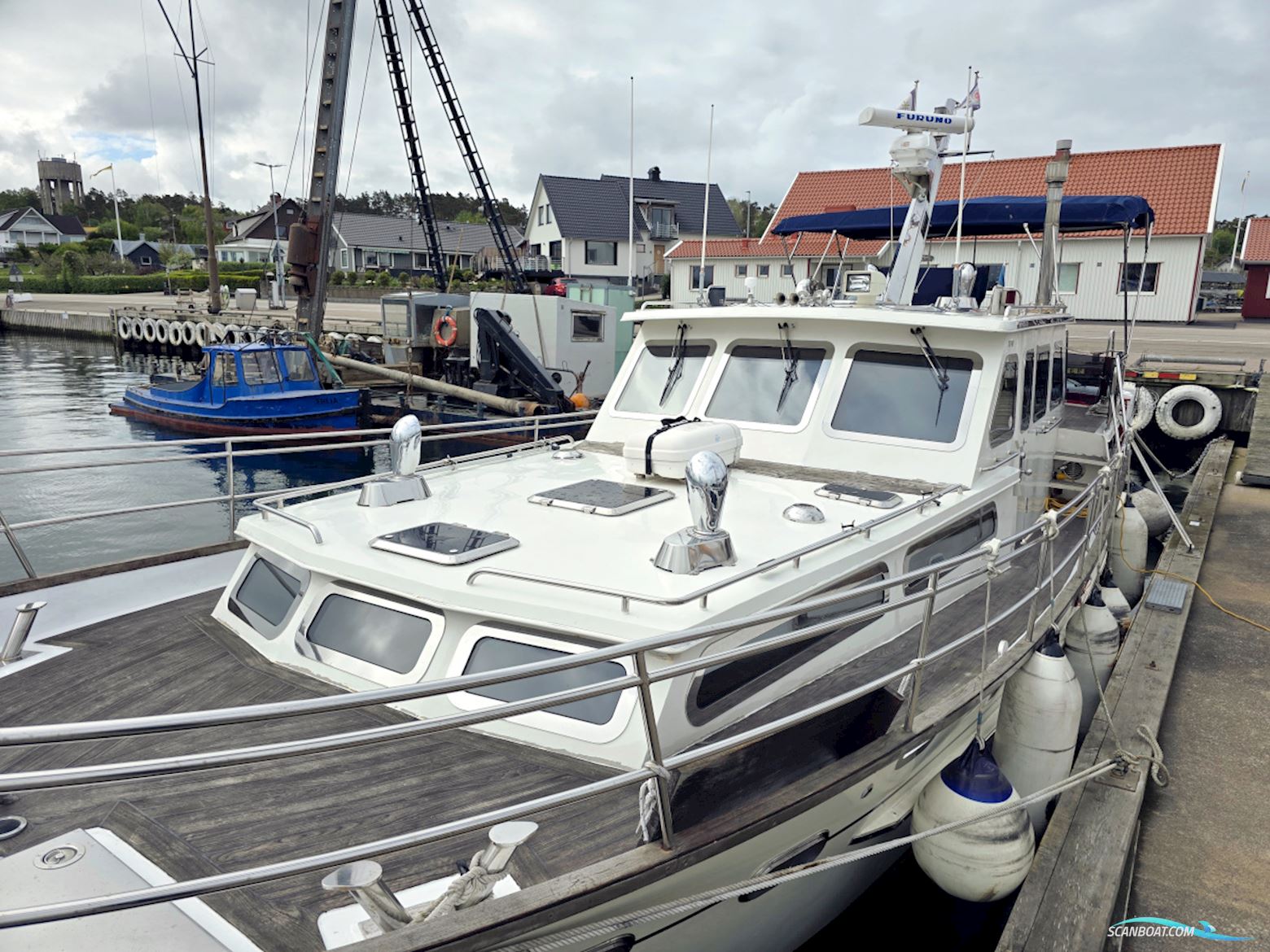 Spinosa 43