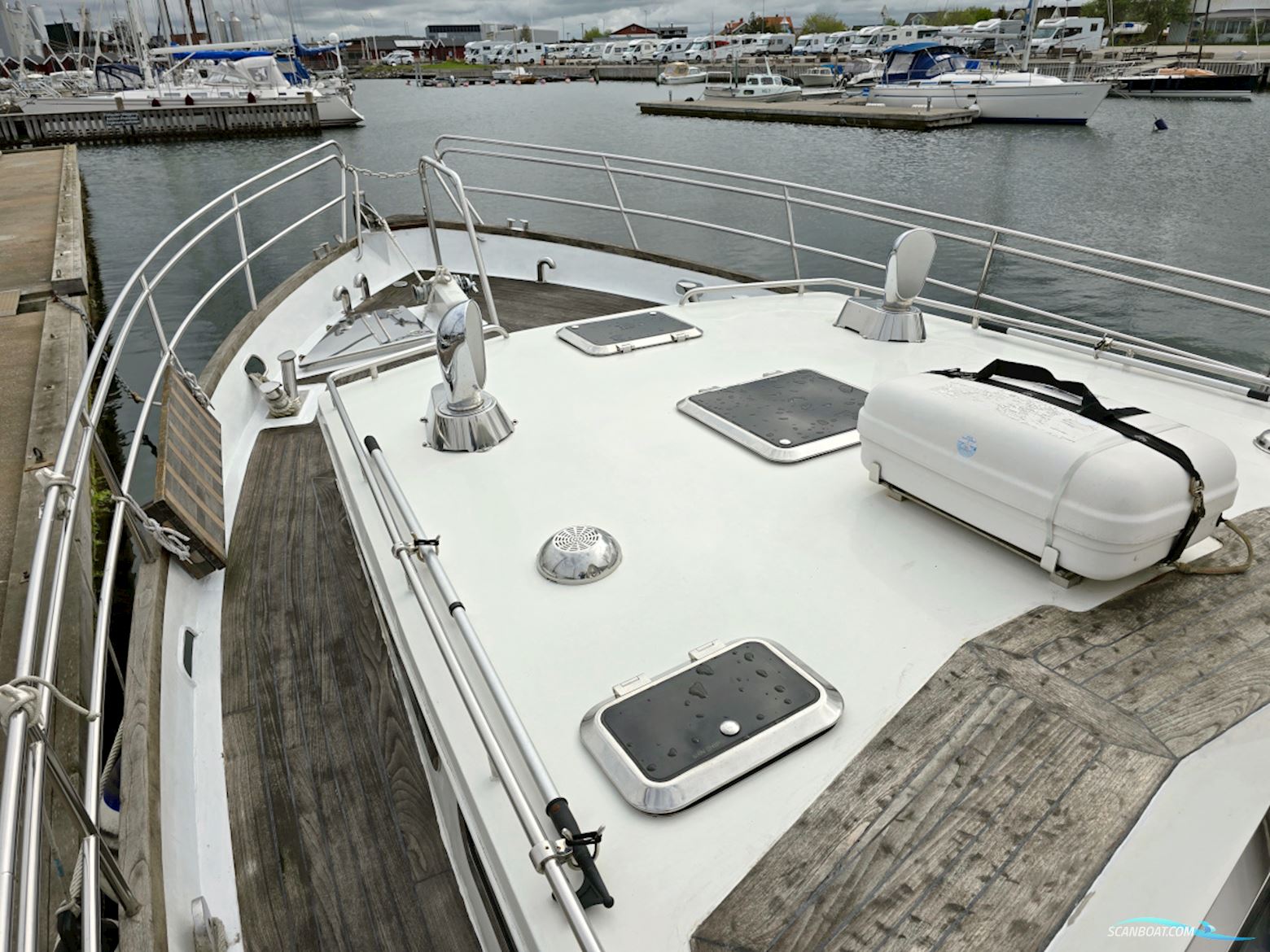 Spinosa 43