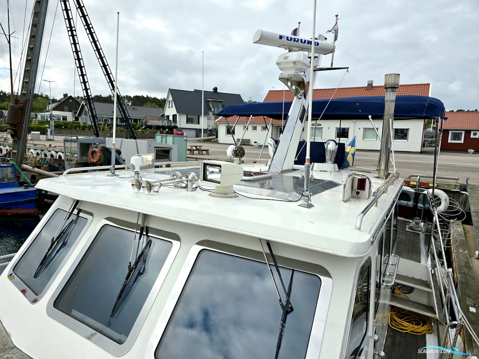 Spinosa 43