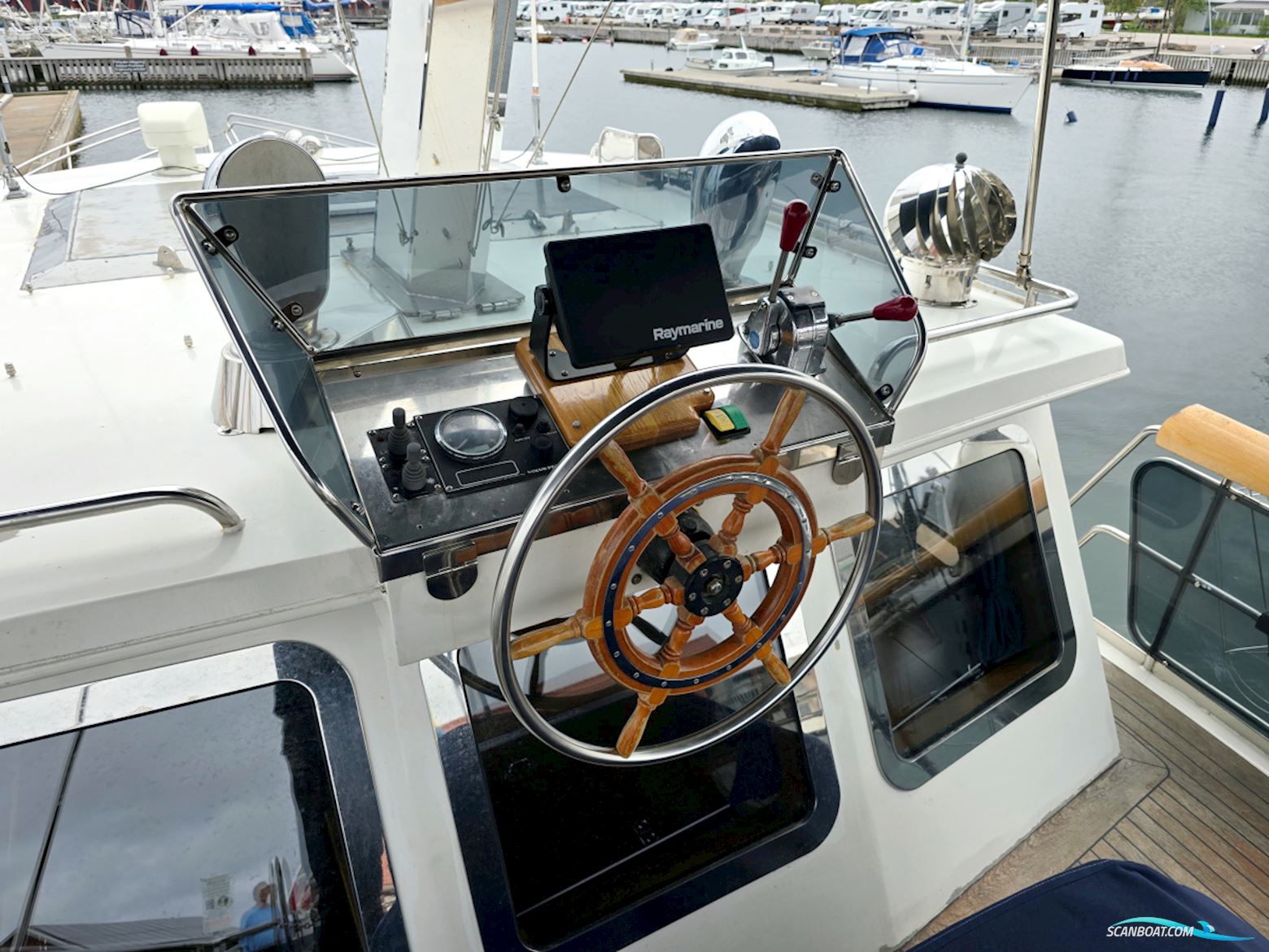 Spinosa 43
