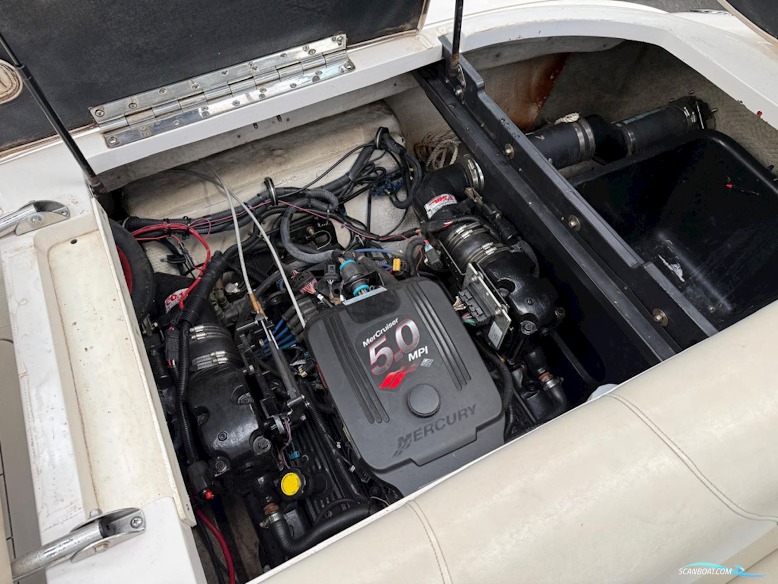 Starcraft 2150 Cuddy