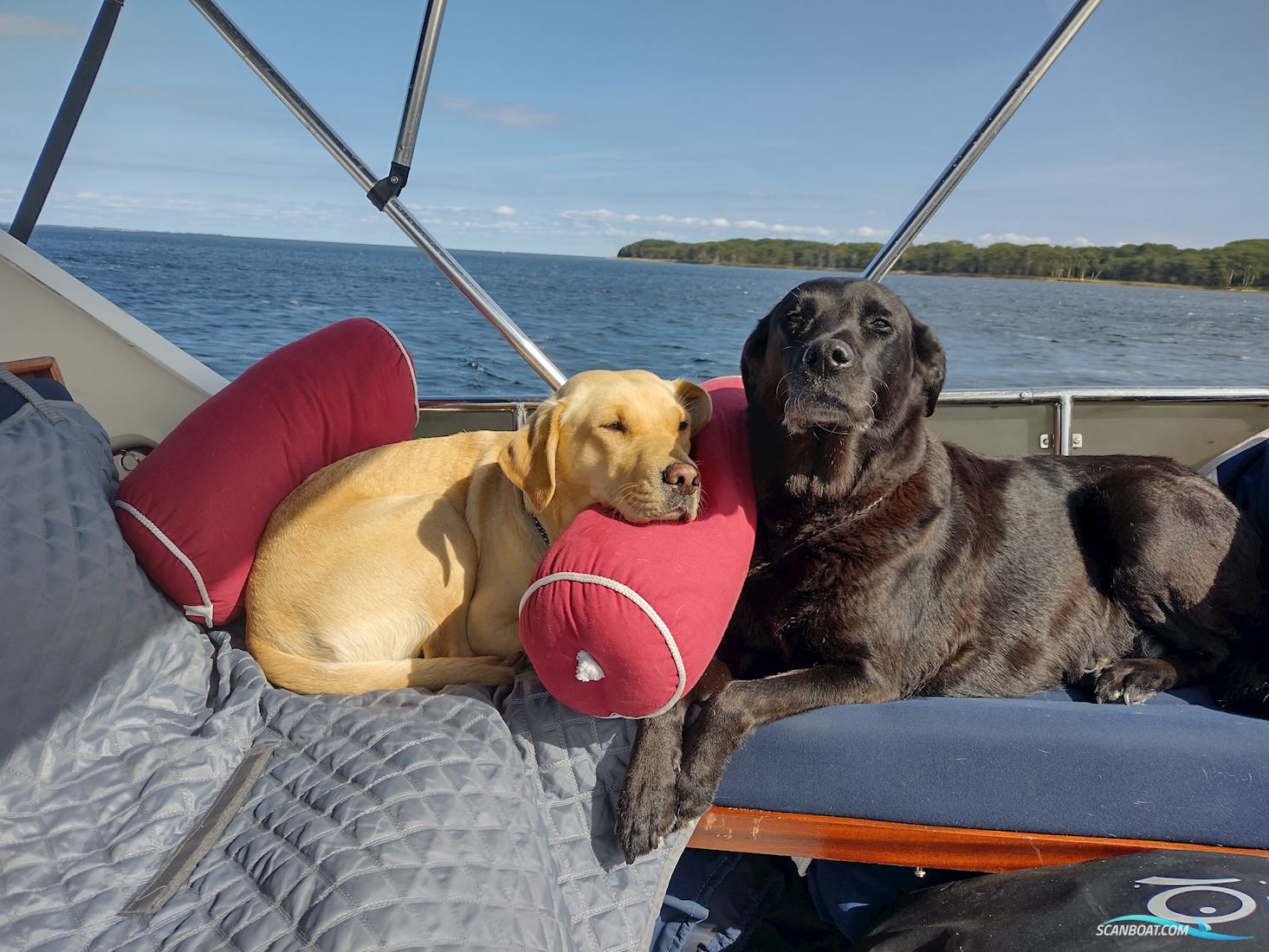 Storebro 36 Royal Cruiser