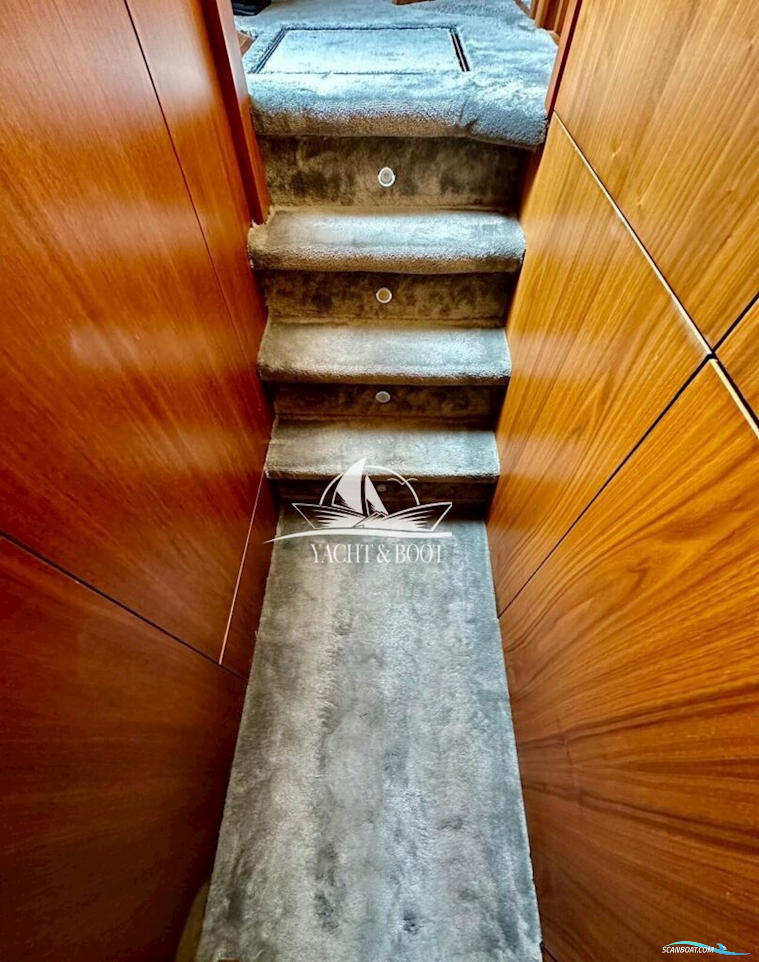 Sunseeker Predator 74 Sports Fly