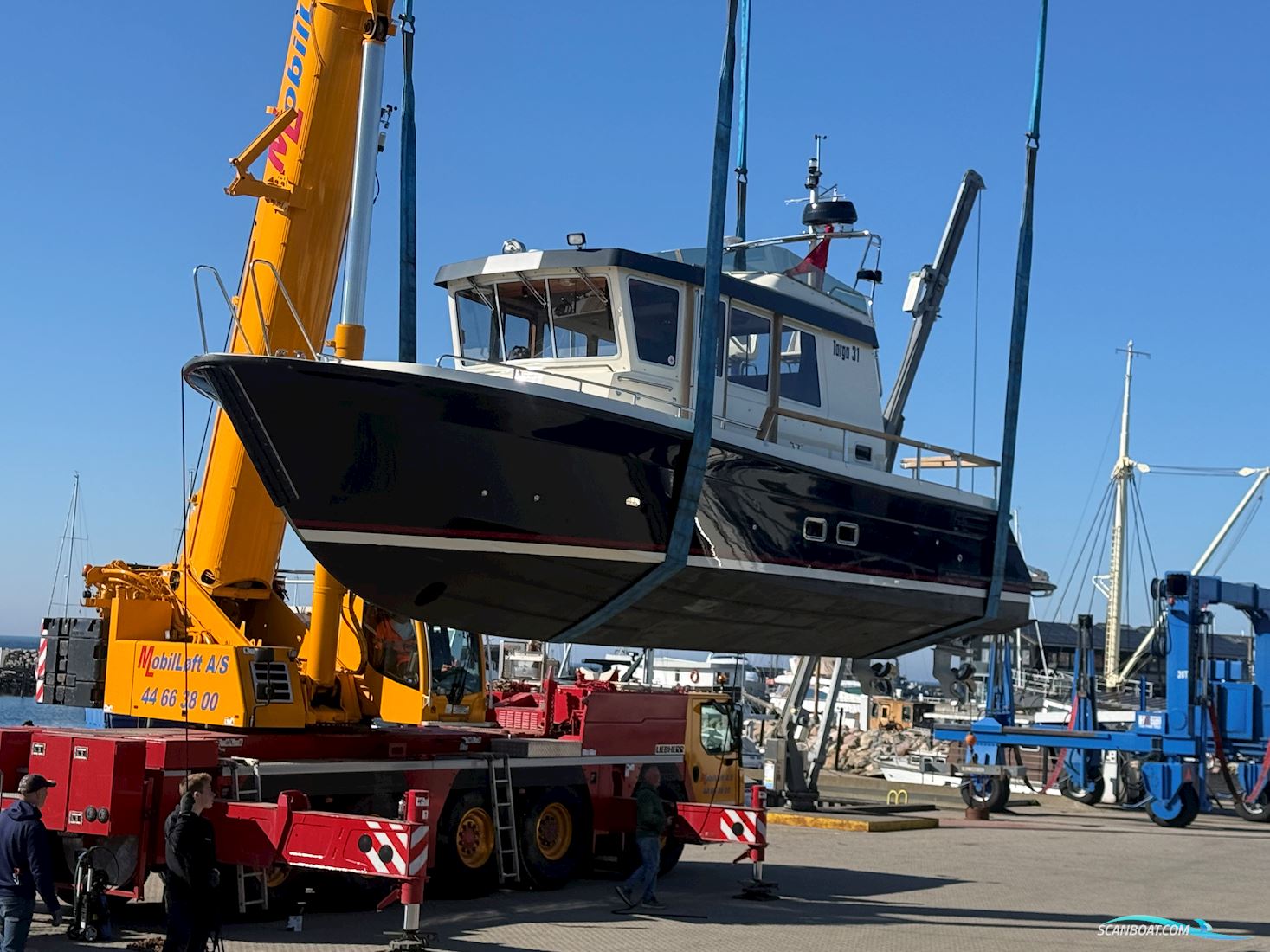 Targa 31