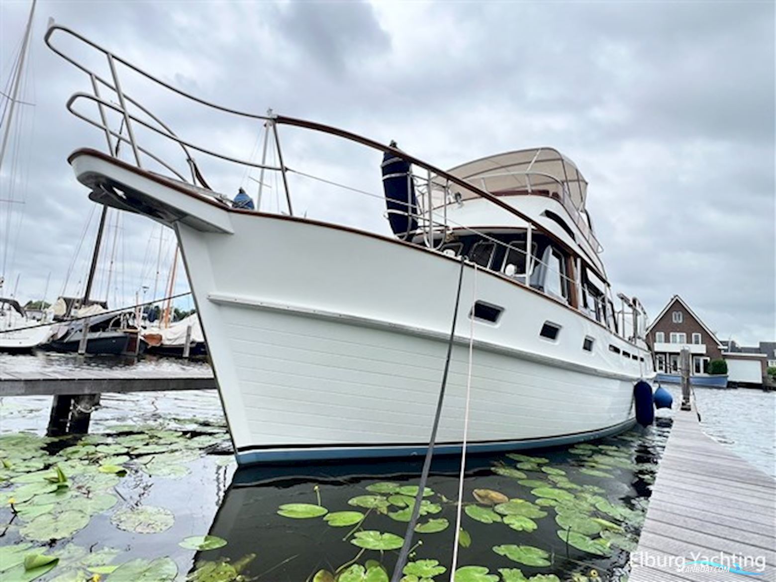Tayana Trawler - Pieter Beeldsnijder