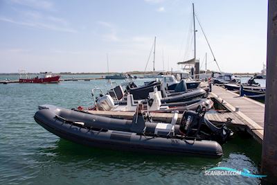 Tiger marine Dive Master 520 Motorboot 2024, mit Suzuki motor, Irland