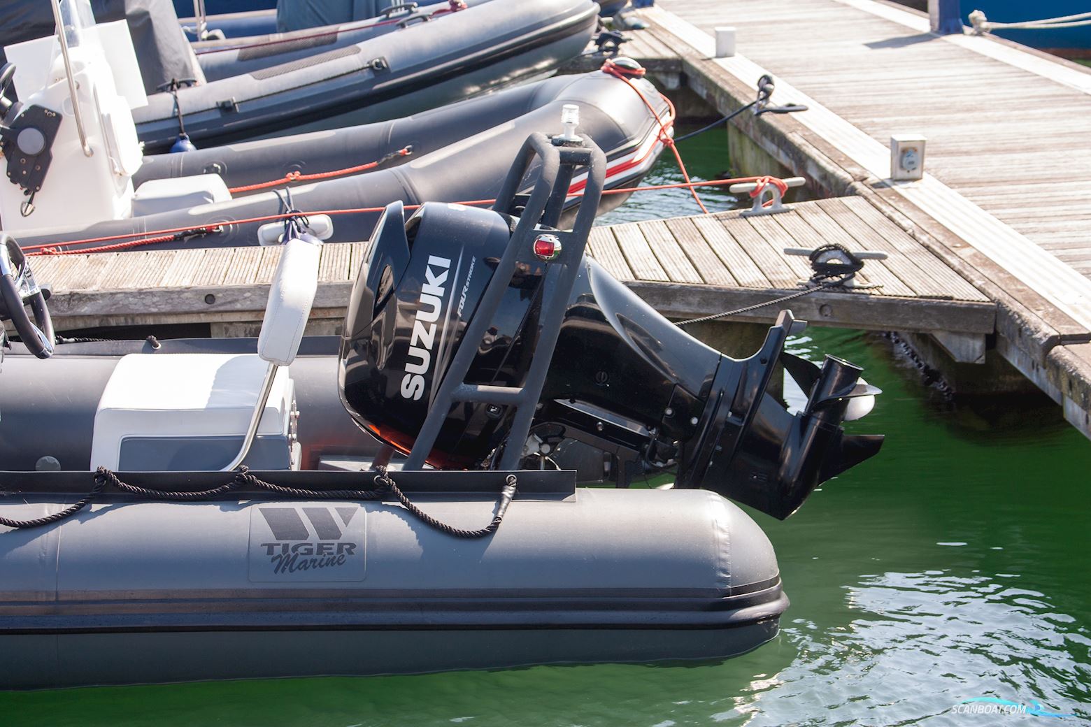 Tiger marine Dive Master 520
