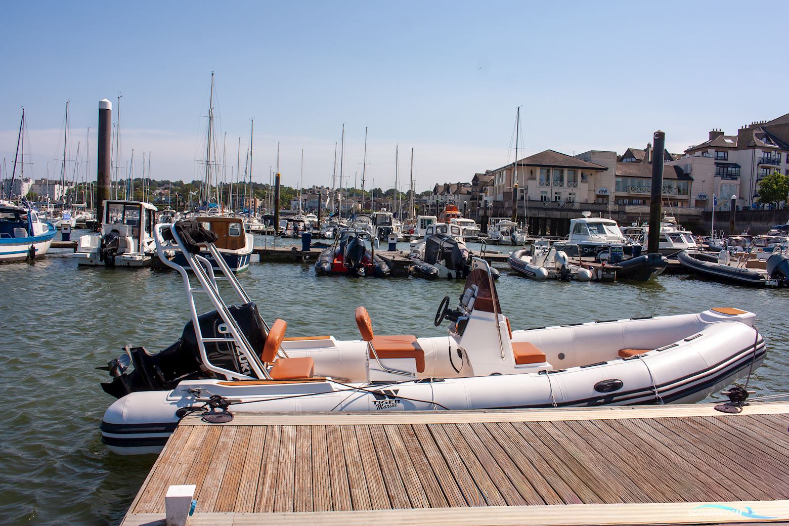 Tiger marine Open 600