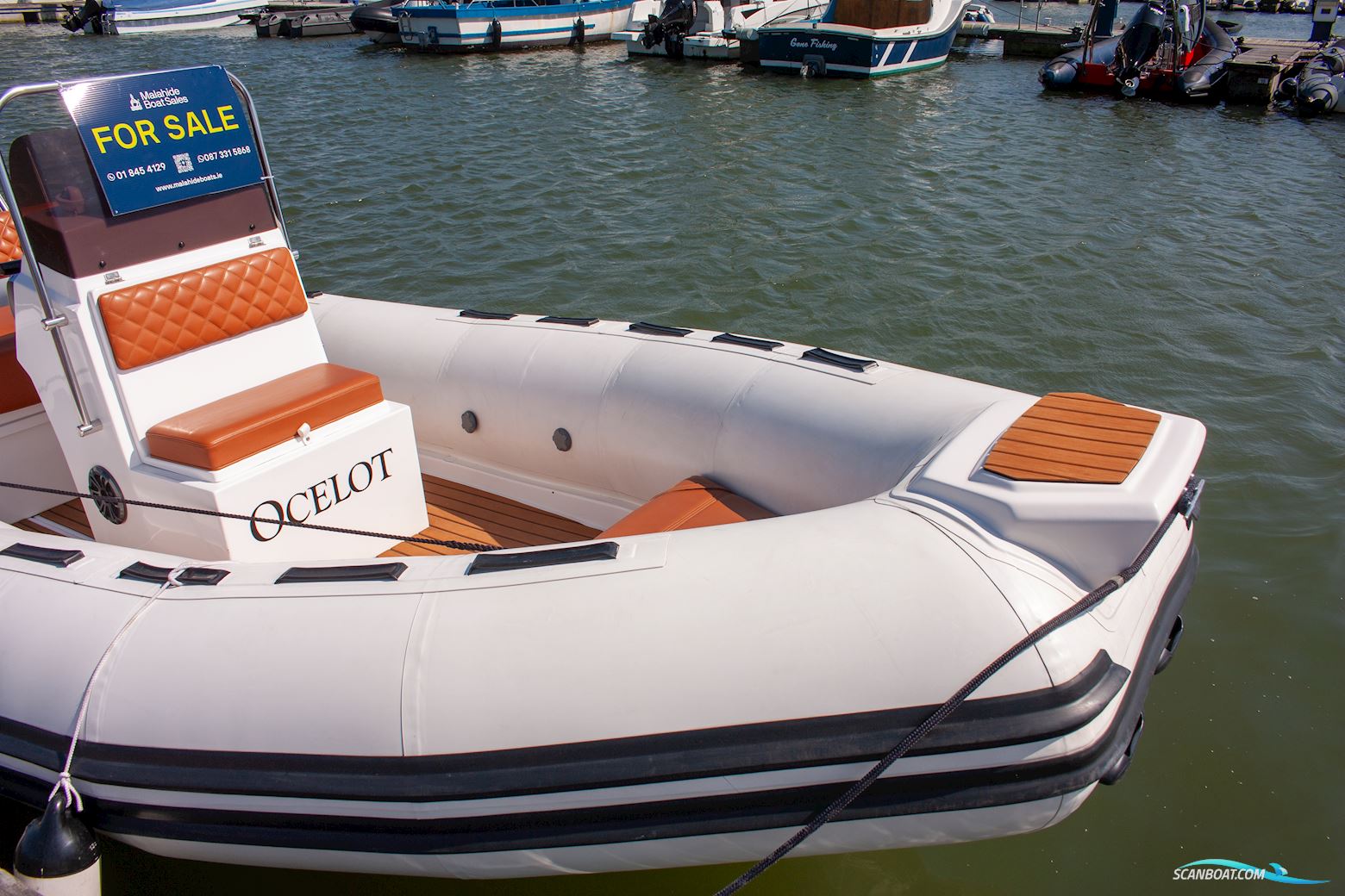Tiger marine Open 600