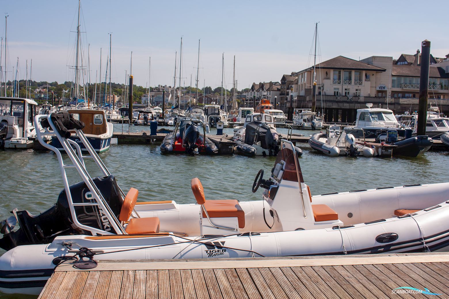 Tiger marine Open 600