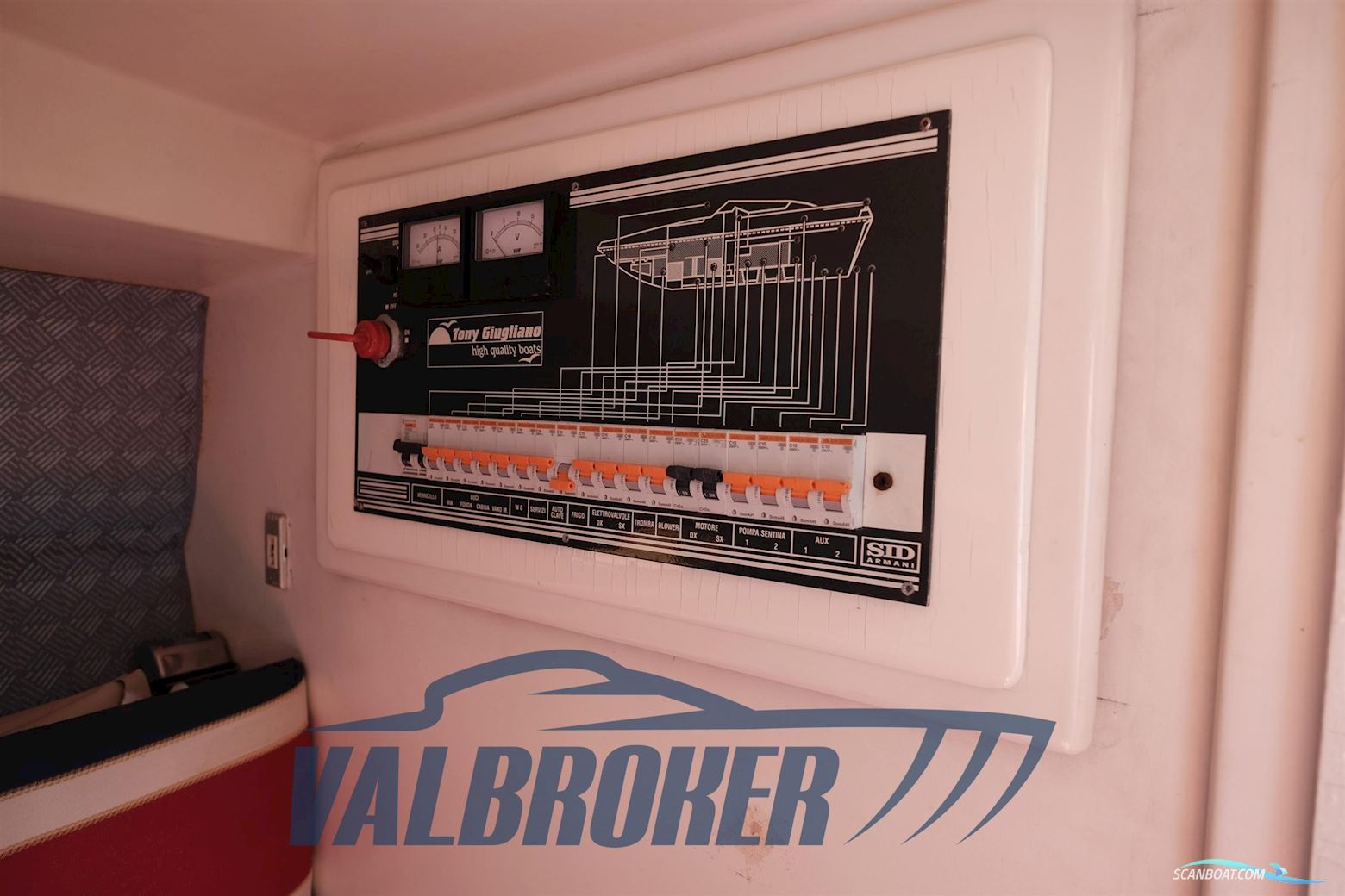 Tony Giugliano 30 Sport