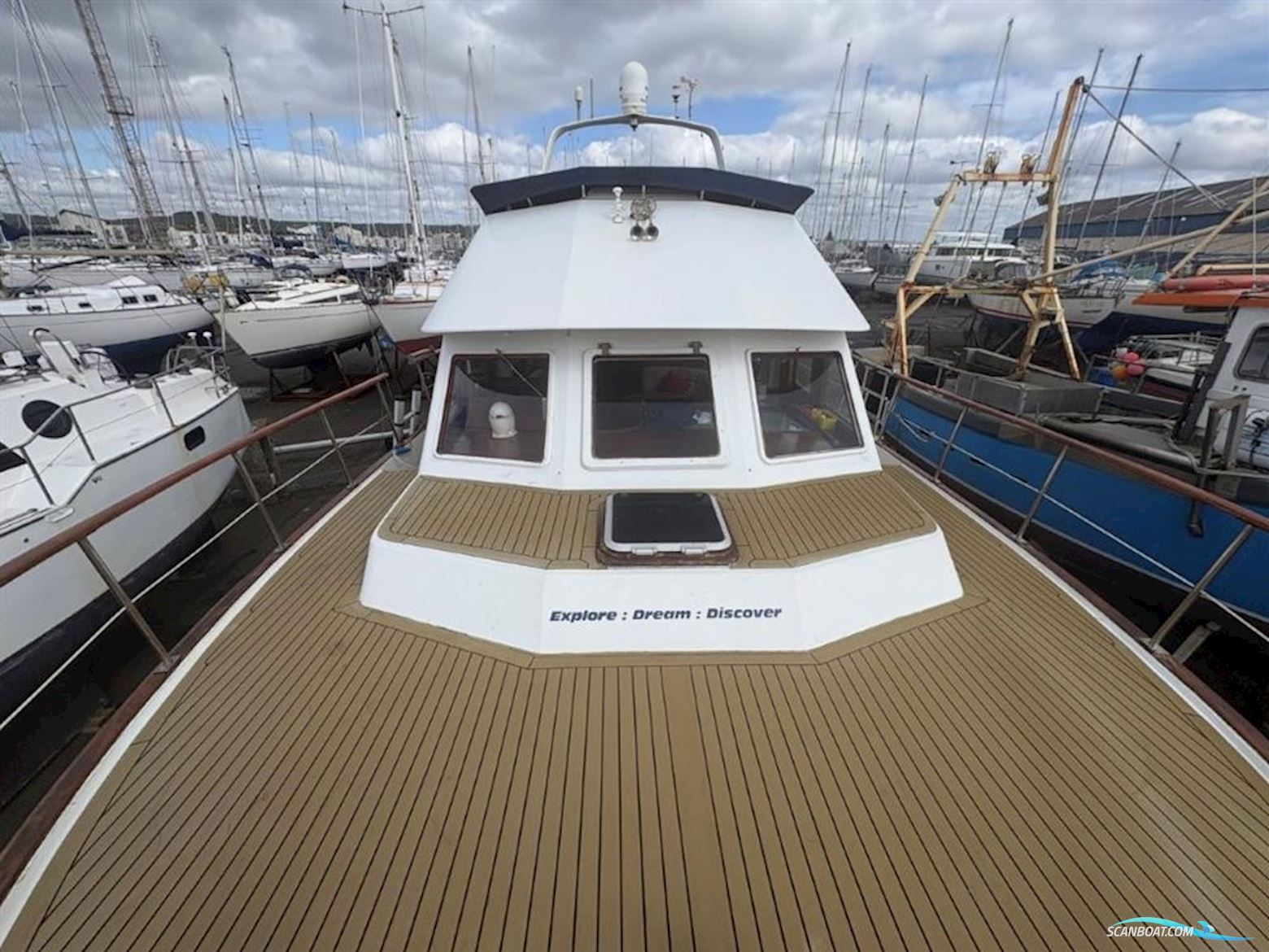 Trader  41