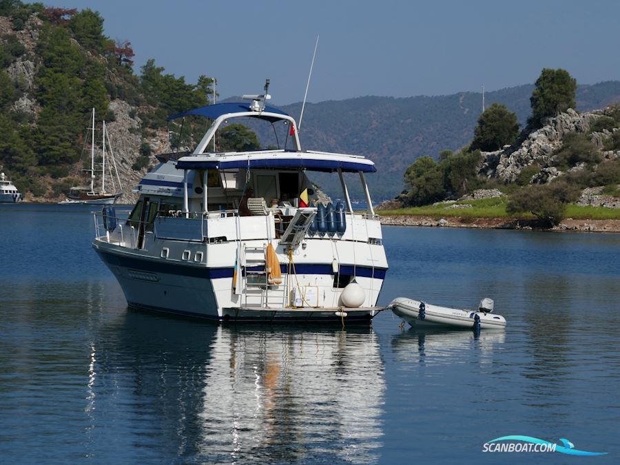 Trader 44 Sundeck