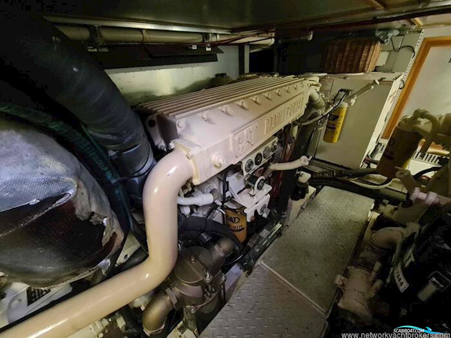 Trader Signature 535