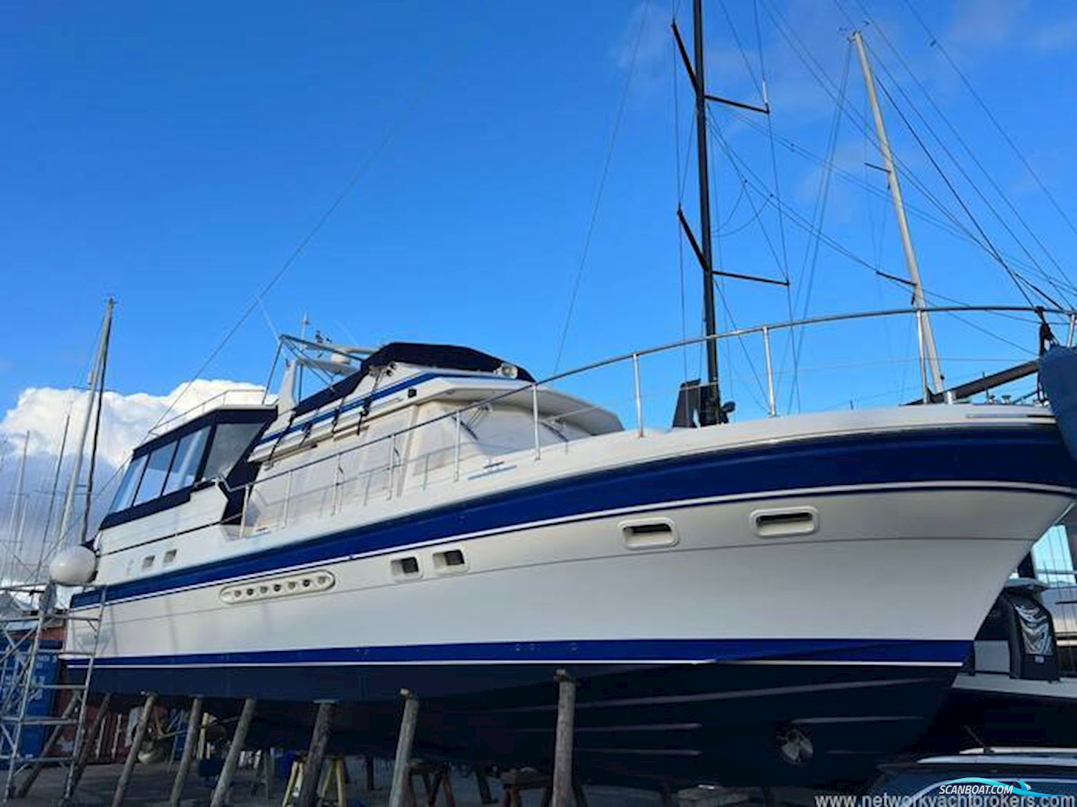 Trader Signature 535