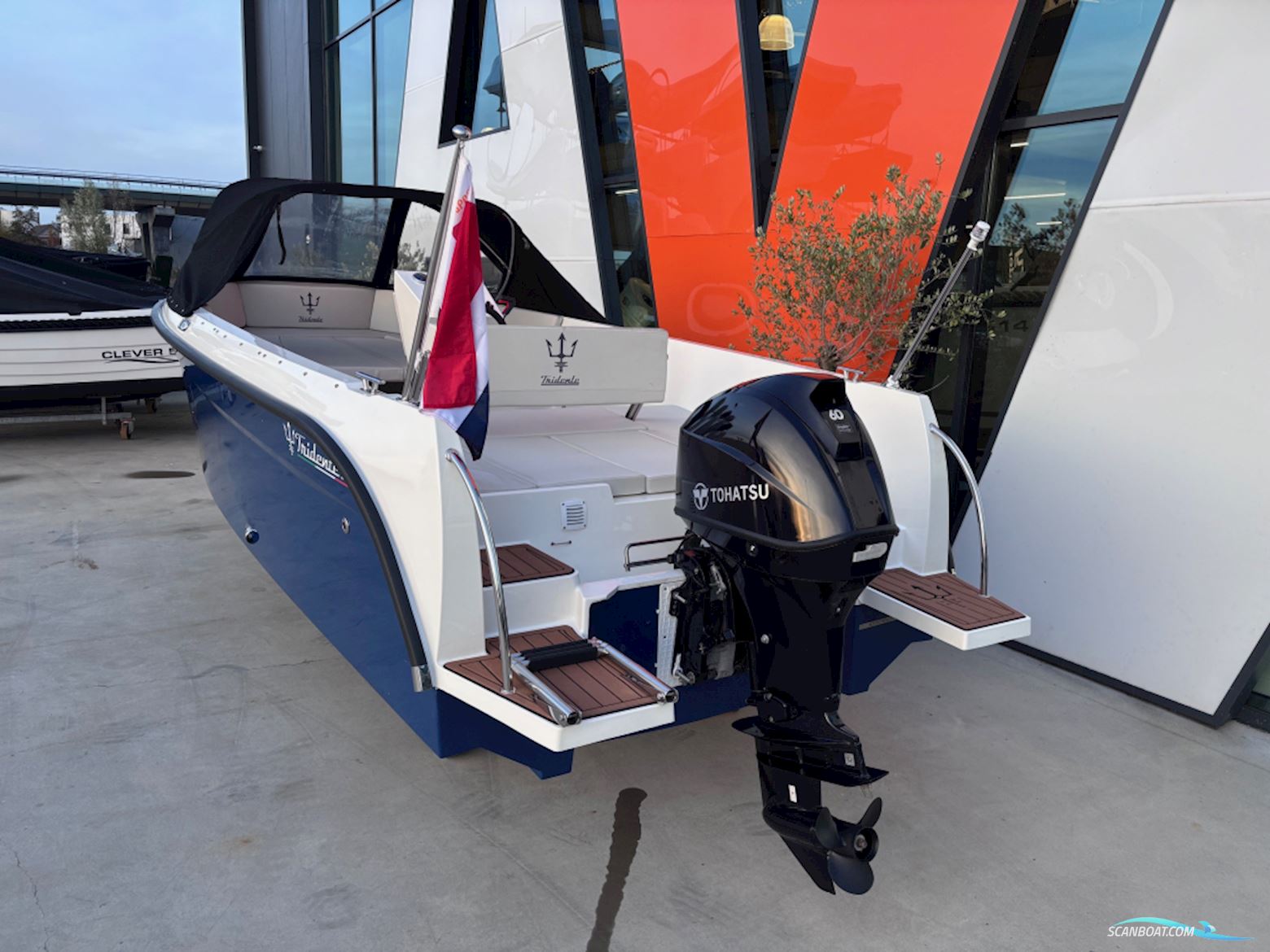 Tridente 19 Overjarig