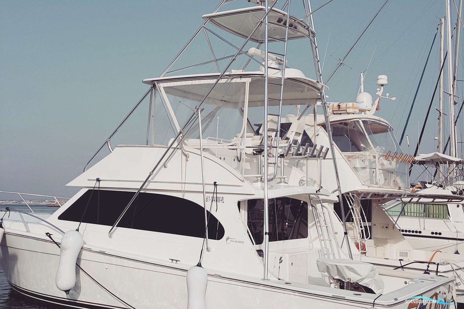 Unclassified 43 Sport Fisherman