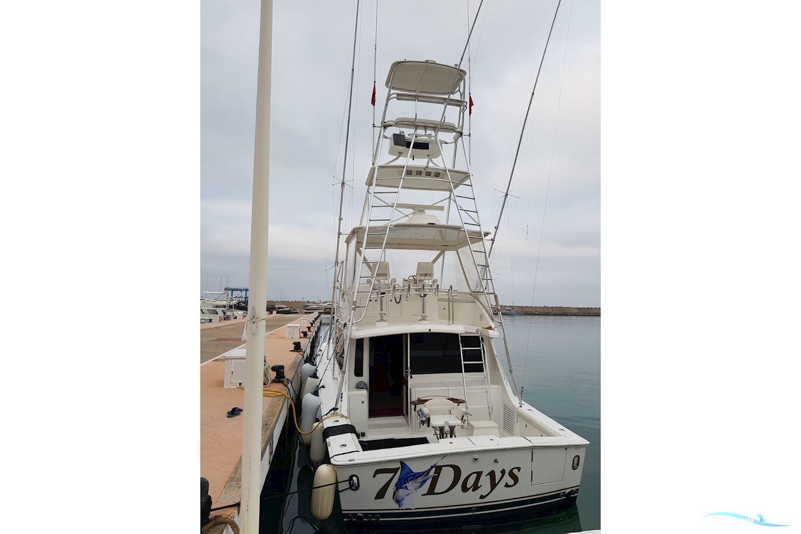 Unclassified 43 Sport Fisherman