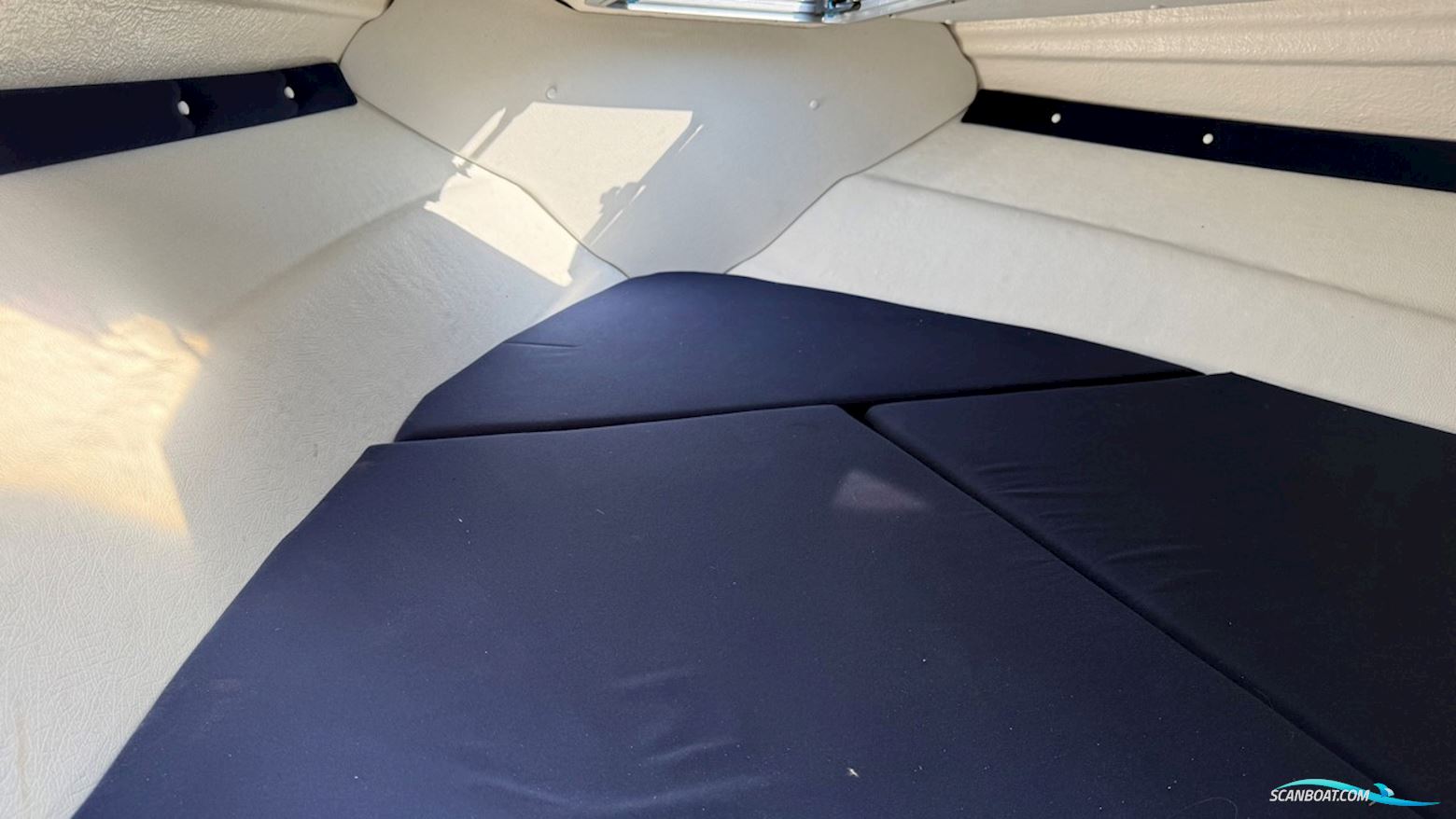 Uttern D55 Exclusive